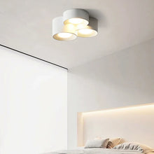 Carregar imagem no visualizador da galeria, Art Modern LED &amp; Ceiling Lamp
